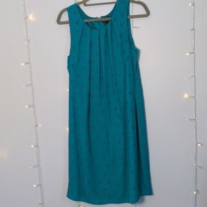 Teal Hummingbird Worthington Shift Dress